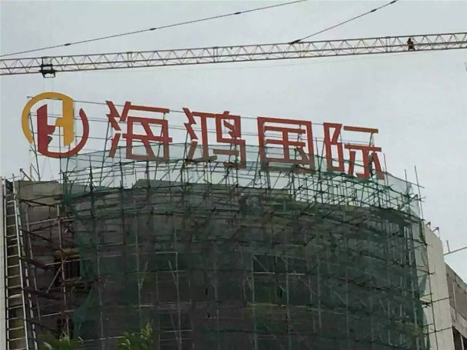 导视系统 (12)